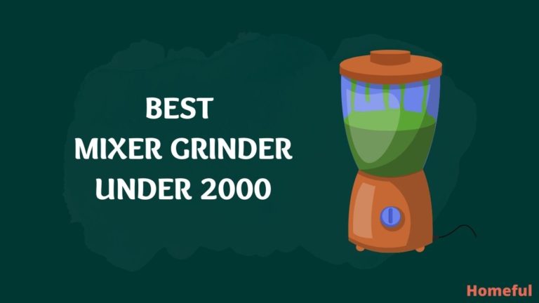 Best Mixer Grinder under 2000