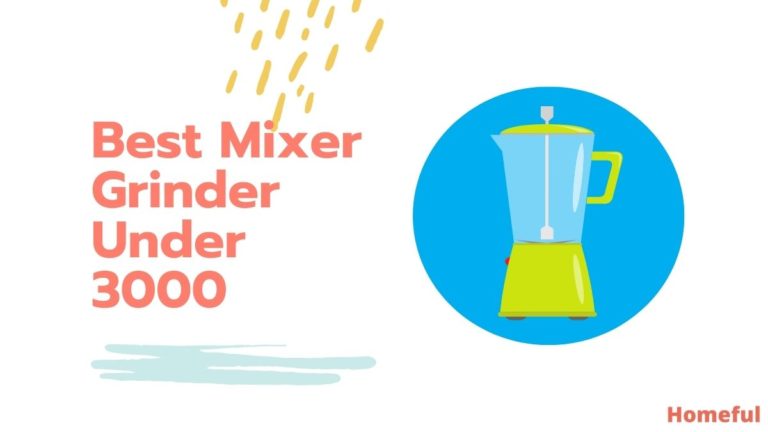 Best Mixer Grinder Under 3000