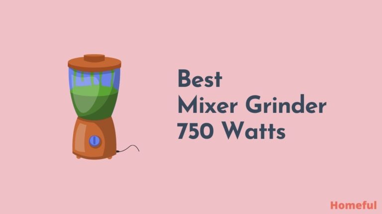 Best Mixer Grinder 750 Watts