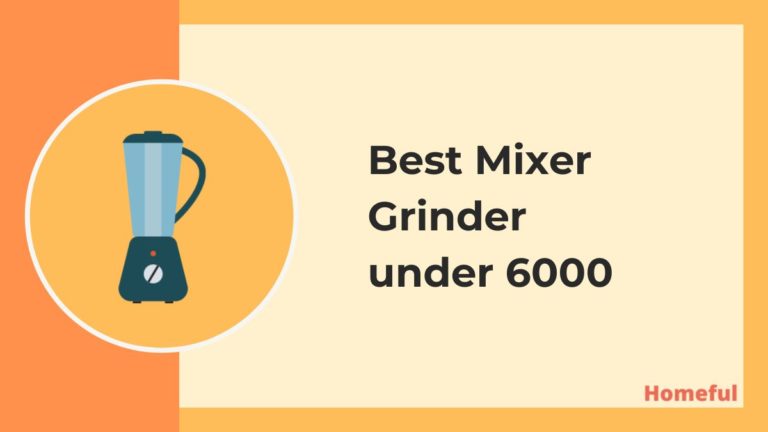 Best Mixer Grinder under 6000