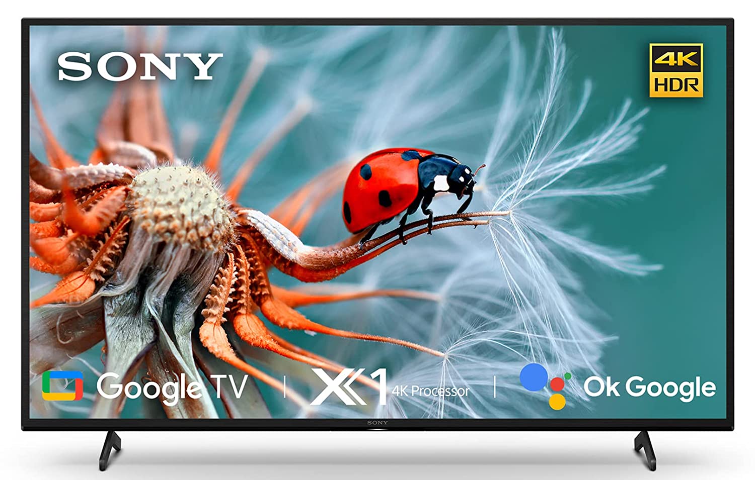 Sony Bravia 43 inches Smart LED Google TV